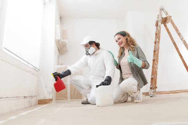 Best Biohazard Mold Removal  in Chesapeake Beach, MD